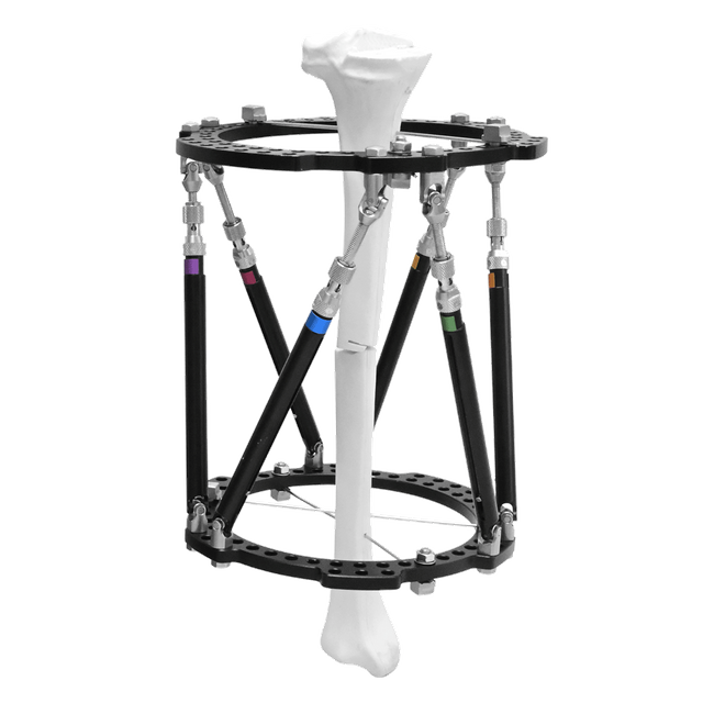 Sistema de anillos Taylor